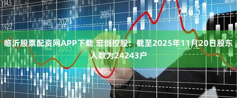 临沂股票配资网APP下载 宏创控股：截至2025年11月20日股东人数为24243户