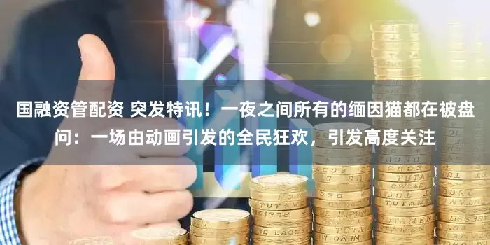 国融资管配资 突发特讯！一夜之间所有的缅因猫都在被盘问：一场由动画引发的全民狂欢，引发高度关注